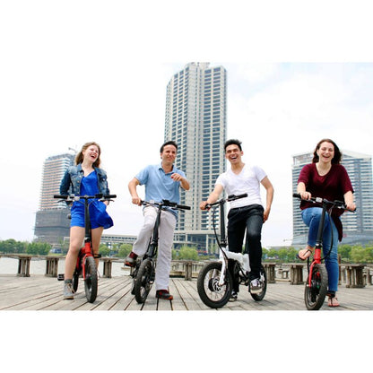 LEITNER ARIA 250W Lightweight Folding Electric Bike