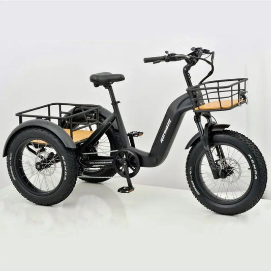 Revom E-Bike Home Demo - We Come To You! - Charge & Glide