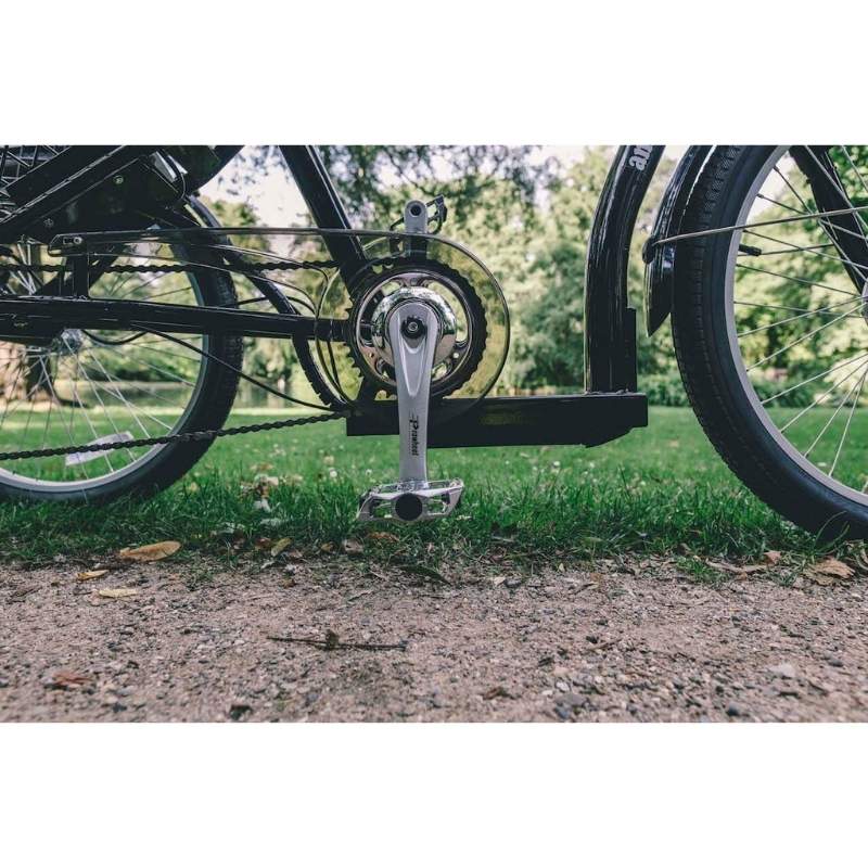 AMCargoBikes Adult Electric Cargo Tricycle - 250W