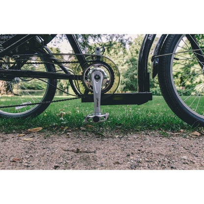 AMCargoBikes Adult Electric Cargo Tricycle - 250W