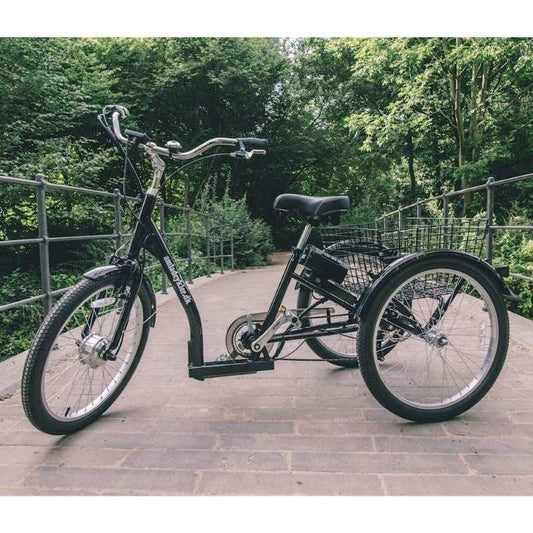 AMCargoBikes Adult Electric Cargo Tricycle - 250W