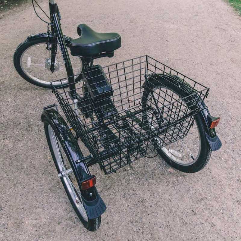 AMCargoBikes Adult Electric Cargo Tricycle - 250W