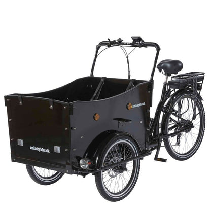 AMCargoBikes Deluxe Electric Cargo Bike Tricycle - 250W, Seats Up To 4 Children