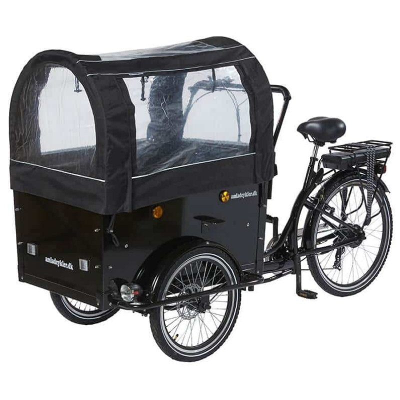 AMCargoBikes Deluxe Electric Cargo Bike Tricycle - 250W, Seats Up To 4 Children