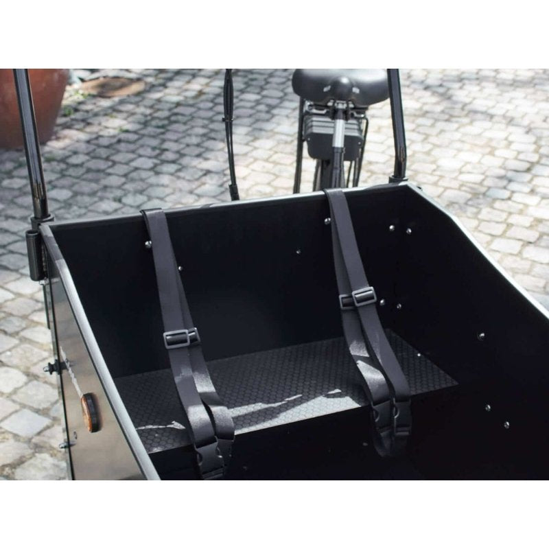 AMCargoBikes Premium Electric Cargo Bike Tricycle - 250W, Seats Up To 4 Children