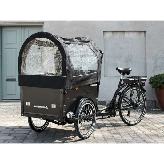AMCargoBikes Premium Electric Cargo Bike Tricycle - 250W, Seats Up To 4 Children