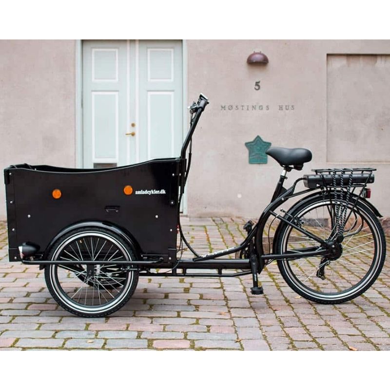 AMCargoBikes Premium Electric Cargo Bike Tricycle - 250W, Seats Up To 4 Children