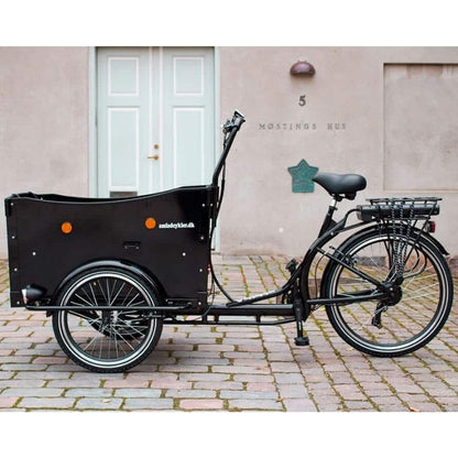 AMCargoBikes Premium Electric Cargo Bike Tricycle - 250W, Seats Up To 4 Children