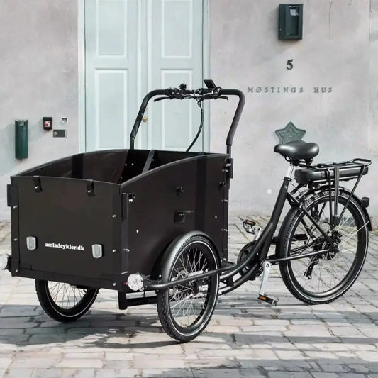 AMCARGOBIKES ULTIMATE CURVE CARGO ELECTRIC BIKE TRICYCLE 250W - SEATS UP TO 4 CHILDREN - Charge & Glide