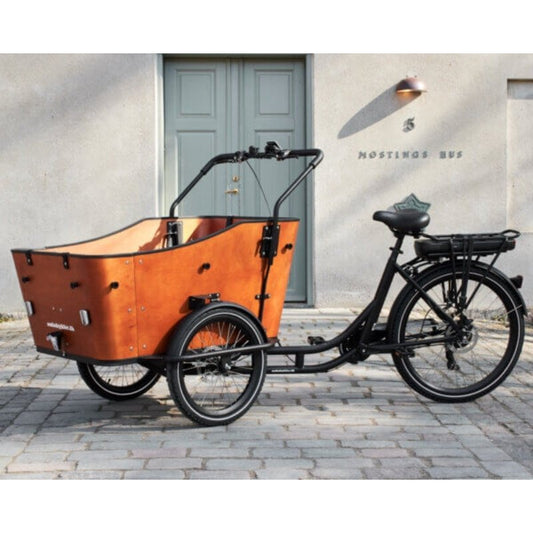 AMCARGOBIKES ULTIMATE HARMONY CARGO ELECTRIC BIKE TRICYCLE 250W (4 CHILDREN) - Charge & Glide