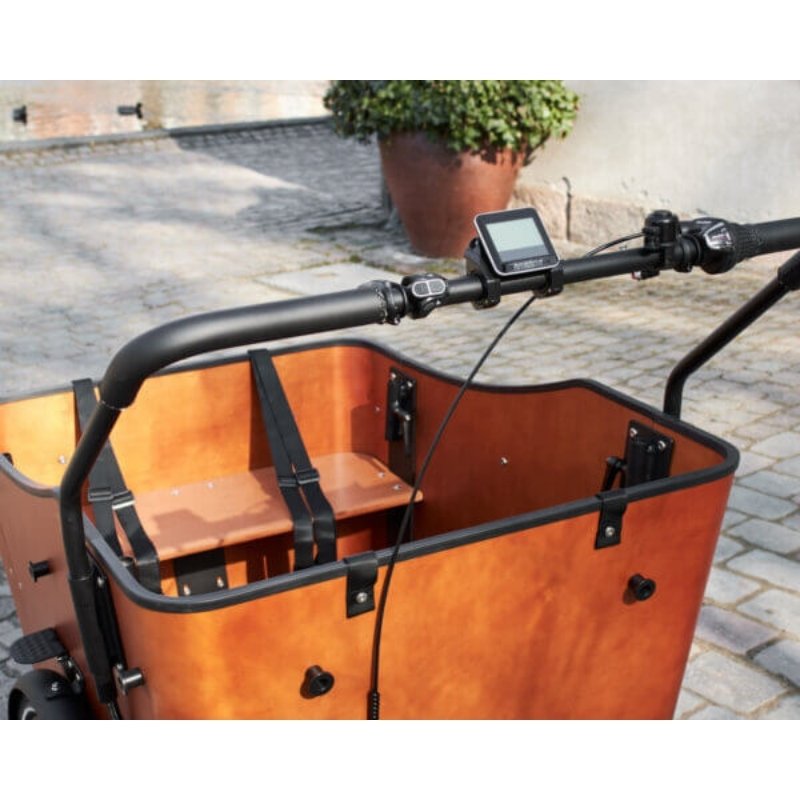 AMCARGOBIKES ULTIMATE HARMONY CARGO ELECTRIC BIKE TRICYCLE 250W (4 CHILDREN) - Charge & Glide