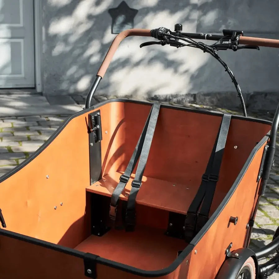 AMCargoBikes Ultimate Harmony Cargo Electric Bike Tricycle 250W - Seats Up to 4 Children - Charge & Glide