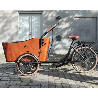 AMCargoBikes Ultimate Harmony Cargo Electric Bike Tricycle 250W - Seats Up to 4 Children - Charge & Glide