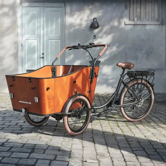 AMCargoBikes Ultimate Harmony Cargo Electric Bike Tricycle 250W - Seats Up to 4 Children - Charge & Glide