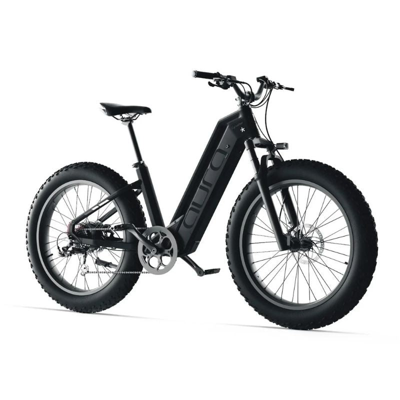 Cyrusher Aura Step-Through All-Terrain Fat-Tyre Electric Bike 250W - Charge & Glide