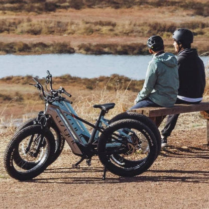 Cyrusher Aura Step-Through All-Terrain Fat-Tyre Electric Bike 250W - Charge & Glide