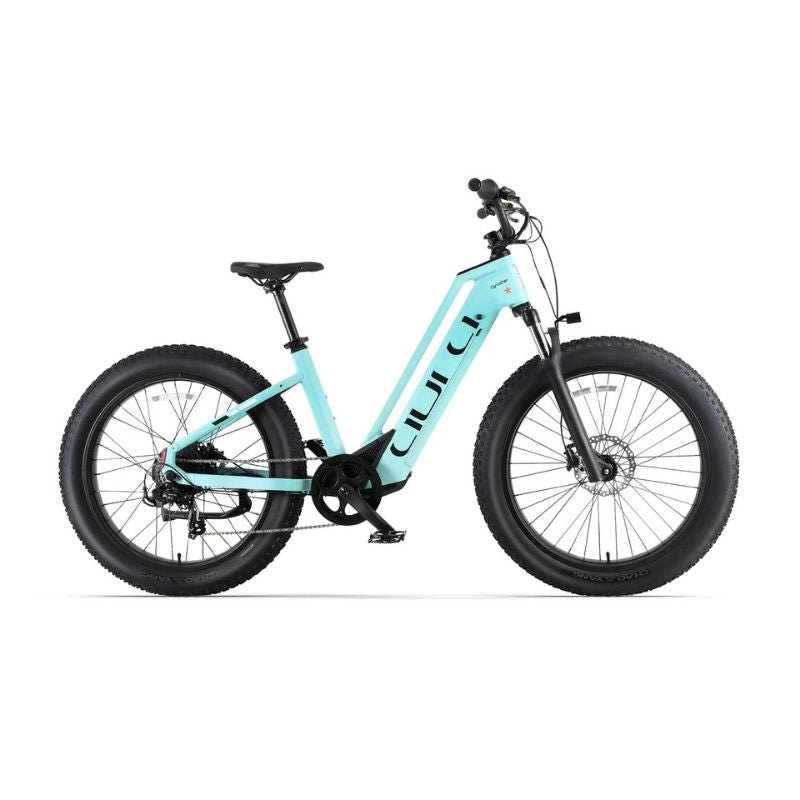 Cyrusher Aura Step-Through All-Terrain Fat-Tyre Electric Bike 250W - Charge & Glide