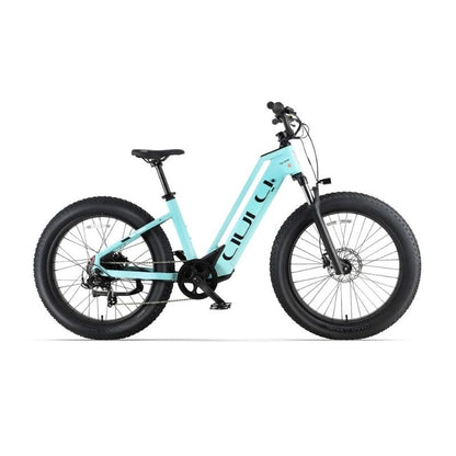 Cyrusher Aura Step-Through All-Terrain Fat-Tyre Electric Bike 250W - Charge & Glide