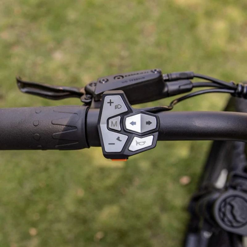 CYRUSHER RANGER 2.0 ALL-TERRAIN FAT-TYRE MOUNTAIN ELECTRIC BIKE 250W - Charge & Glide
