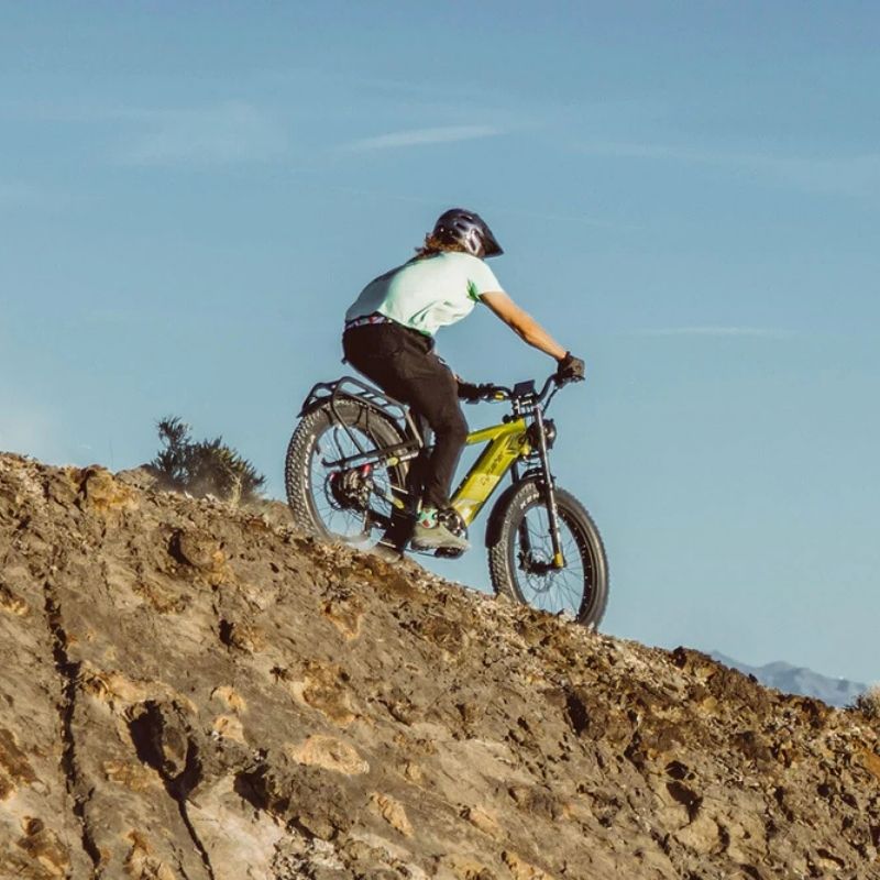 CYRUSHER RANGER 2.0 ALL-TERRAIN FAT-TYRE MOUNTAIN ELECTRIC BIKE 250W - Charge & Glide