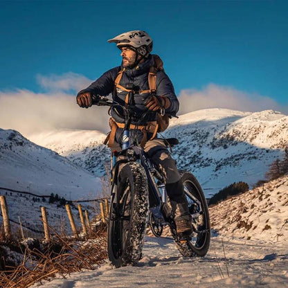 Cyrusher Rover Full-Suspension All-Terrain Fat-Tyre Electric Bike 250W - Charge & Glide