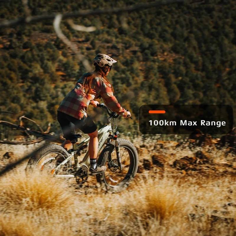 Cyrusher Rover Full-Suspension All-Terrain Fat-Tyre Electric Bike 250W - Charge & Glide