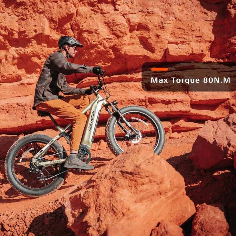 Cyrusher Rover Full-Suspension All-Terrain Fat-Tyre Electric Bike 250W - Charge & Glide