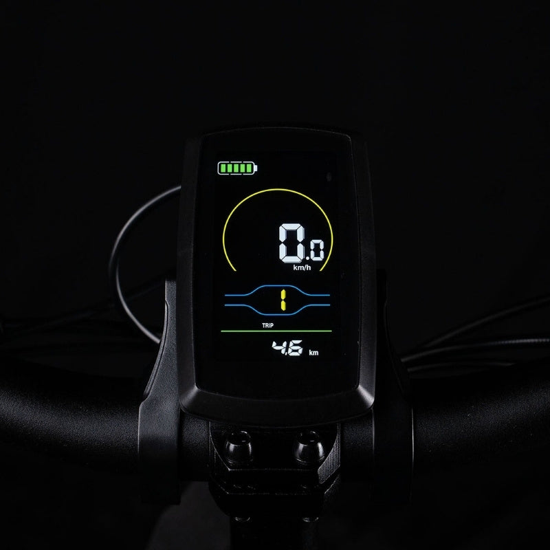 CYRUSHER RUMBLE 2.0 STEP-THROUGH ALL-TERRAIN FAT TYRE ELECTRIC BIKE 250W - Charge & Glide