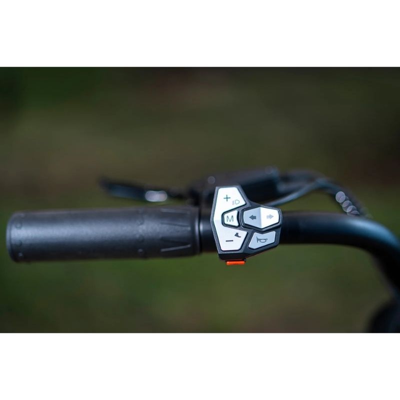 CYRUSHER TRAX 2.0 STEP-THROUGH ALL-TERRAIN FAT-TYRE ELECTRIC BIKE 250W - Charge & Glide