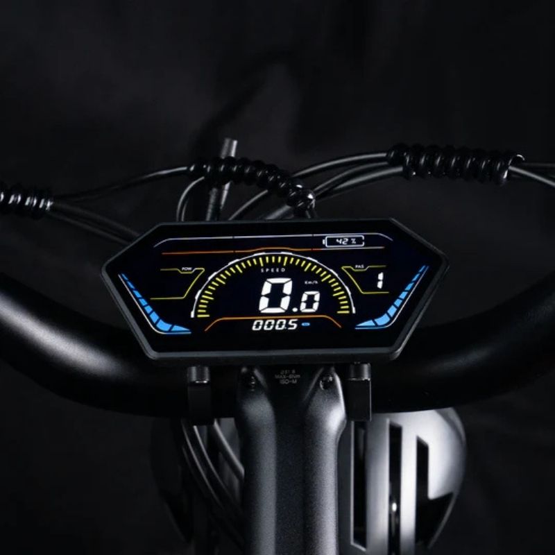 CYRUSHER TRAX 2.0 STEP-THROUGH ALL-TERRAIN FAT-TYRE ELECTRIC BIKE 250W - Charge & Glide