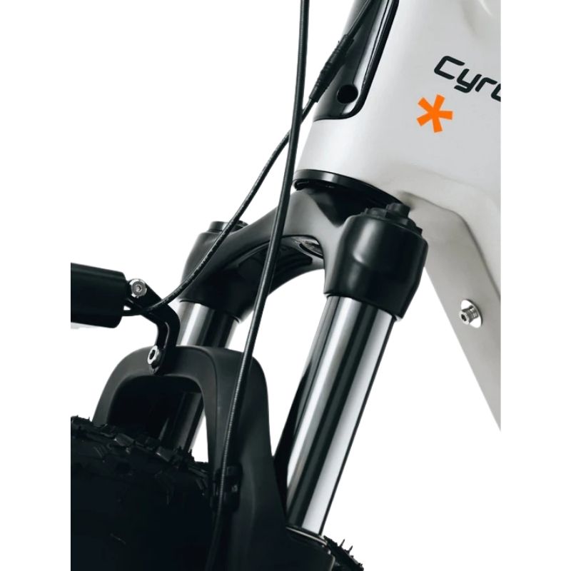 Cyrusher Zenith Step-Over All-Terrain Fat-Tyre Electric Bike 250W - Charge & Glide