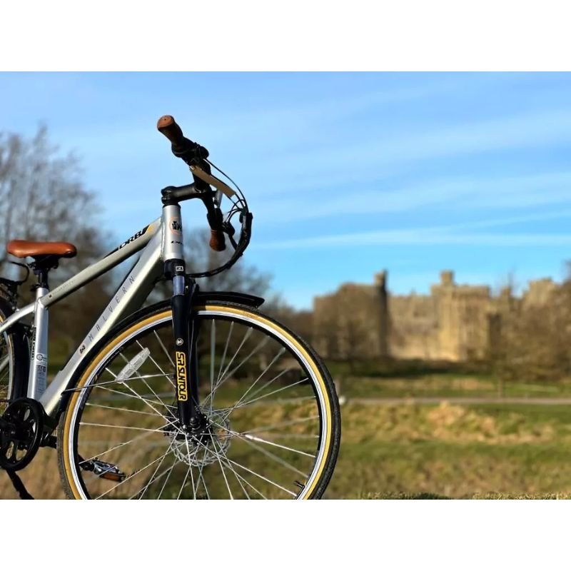 Dallingridge Malvern Hybrid Trekking Electric Bike 250W - Satin Silver - Charge & Glide