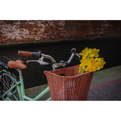 Dawes Elegance Heritage Step-Through Hybrid Electric Bike 250W - Charge & Glide