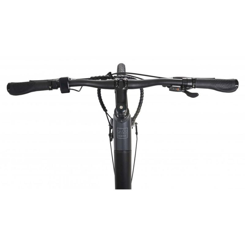 Dawes Scenic Step-Through Hybrid Electric Bike 250W - Charge & Glide