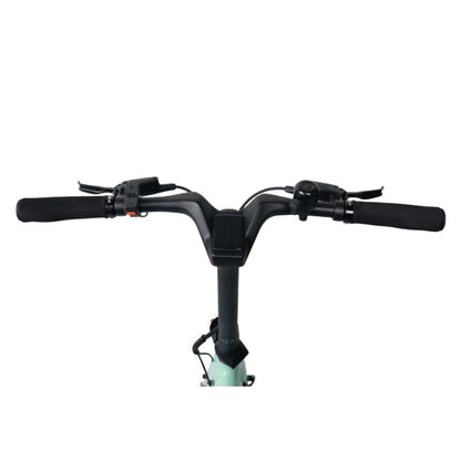 E-Go CarbonLite Folding Mid-Drive Commuter Electric Bike 250W