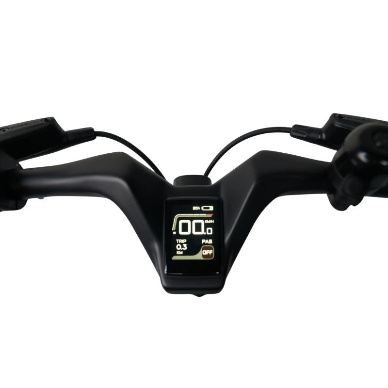 E-Go CarbonLite Folding Mid-Drive Commuter Electric Bike 250W