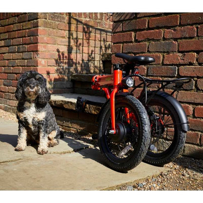 E-Go Lite Folding Commuter Electric Bike 250W