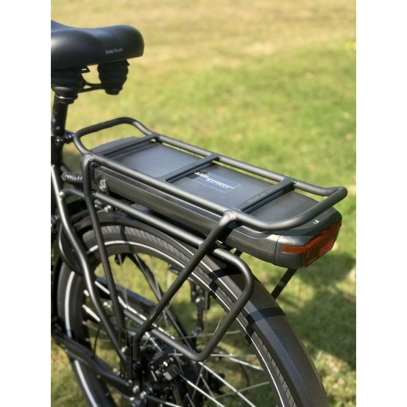 Emu E-Haul Cargo Electric Trike 250W, Seats Up To 4 Children - Charge & Glide