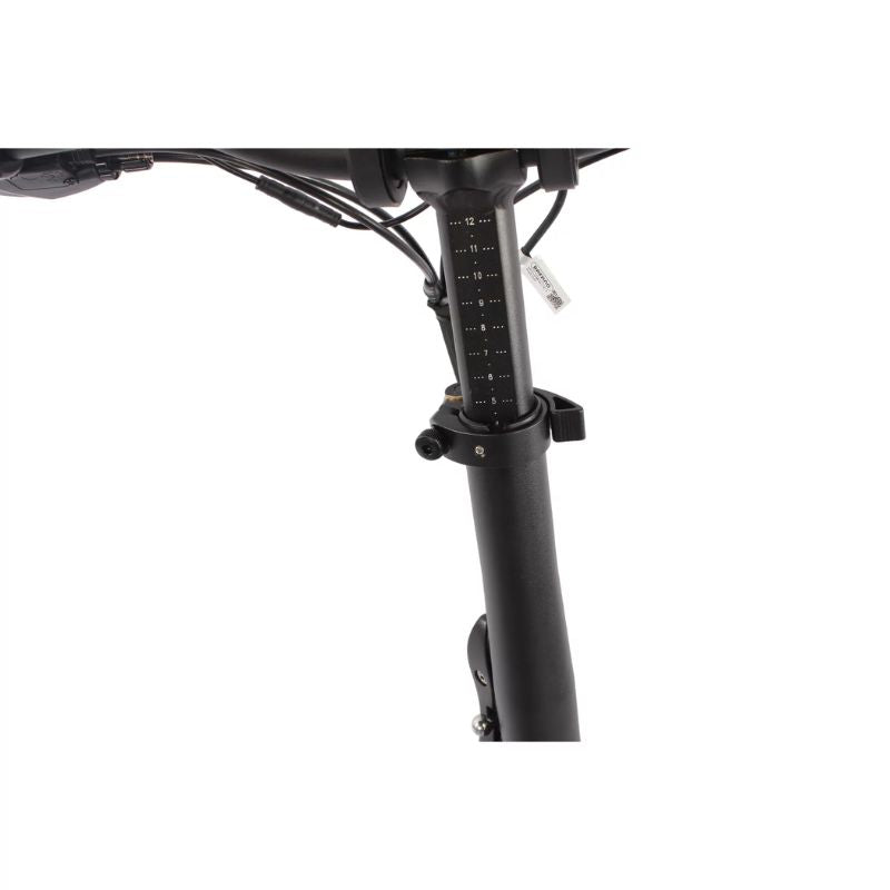 Emu Fat-Tyre Folding Electric Bike 250W