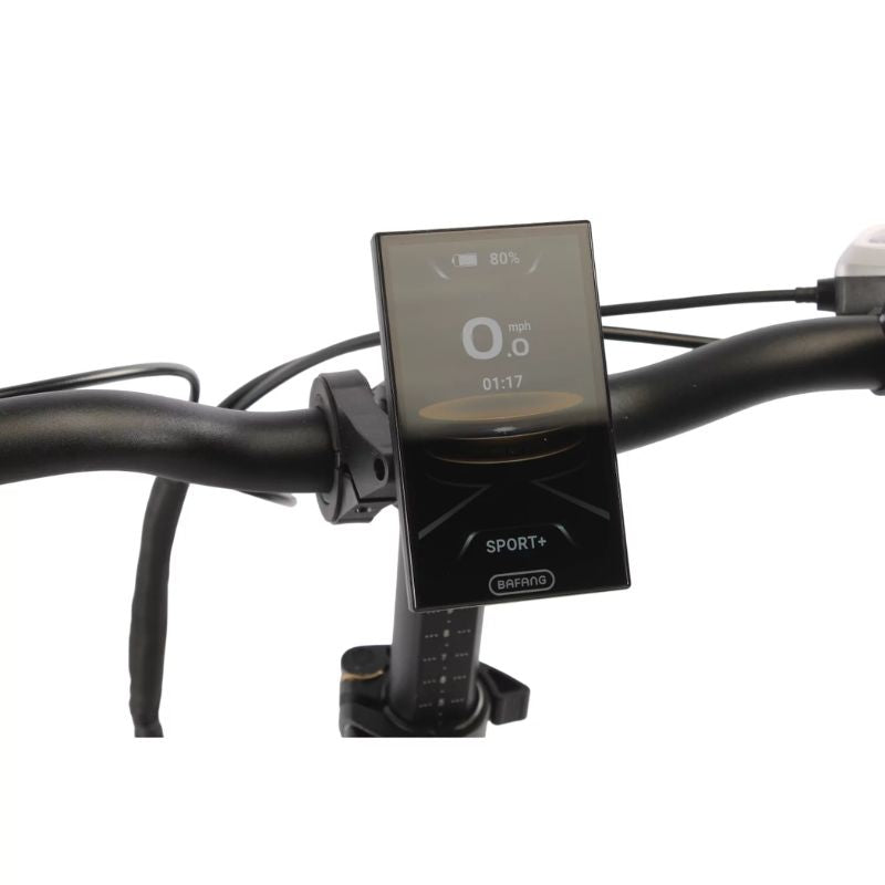 Emu Fat-Tyre Folding Electric Bike 250W