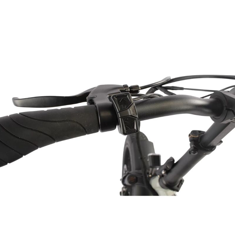 Emu Fat-Tyre Folding Electric Bike 250W