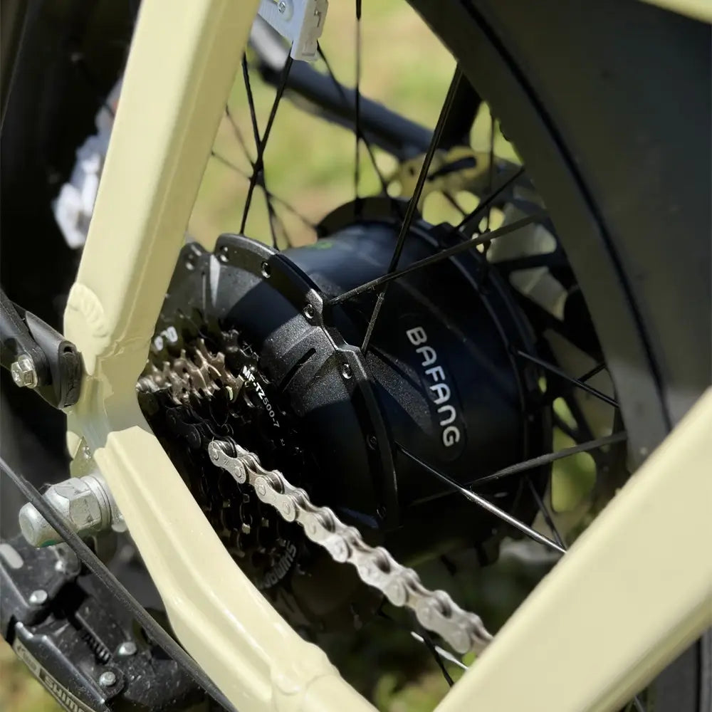Emu Longtail Step-Through Cargo Electric Bike 250W Charge & Glide
