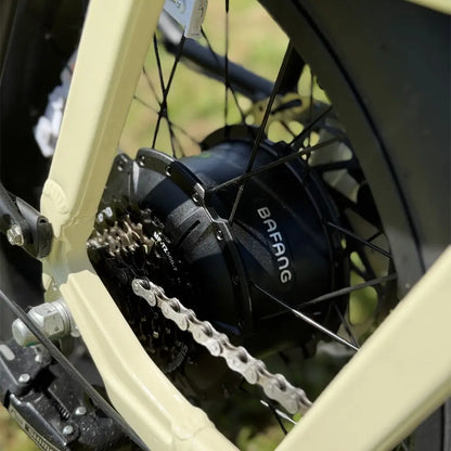 Emu Longtail Step-Through Cargo Electric Bike 250W Charge & Glide