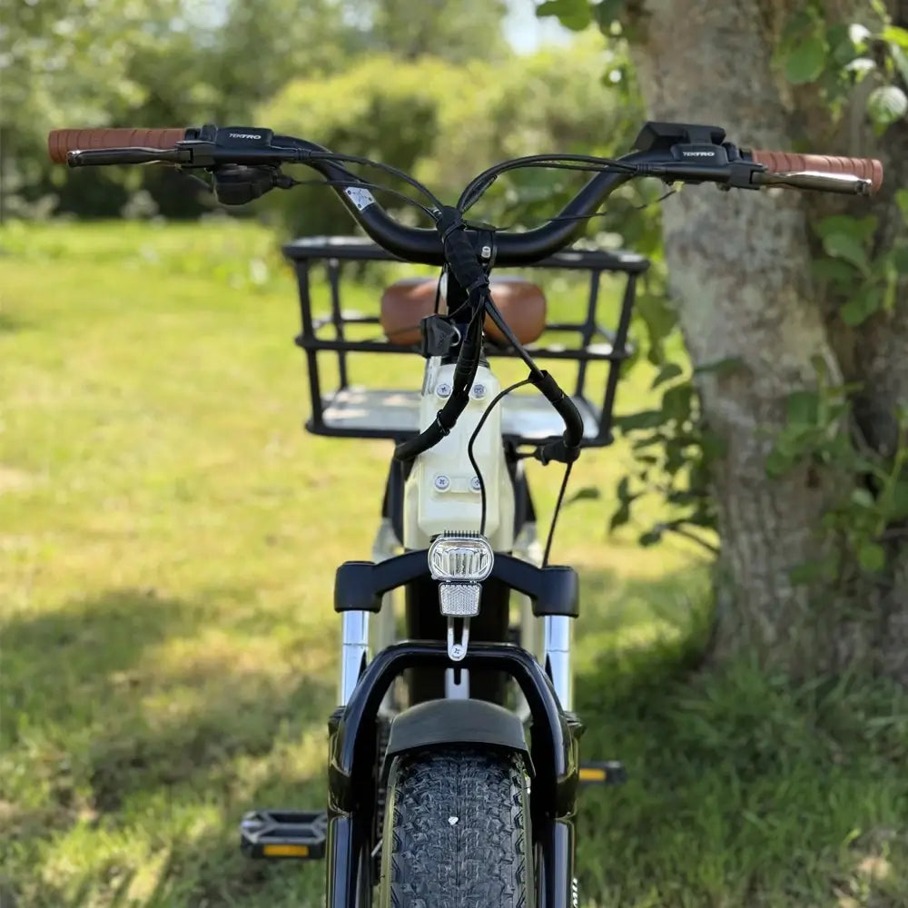 Emu Longtail Step-Through Cargo Electric Bike 250W Charge & Glide