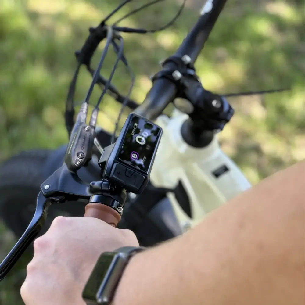 Emu Longtail Step-Through Cargo Electric Bike 250W Charge & Glide