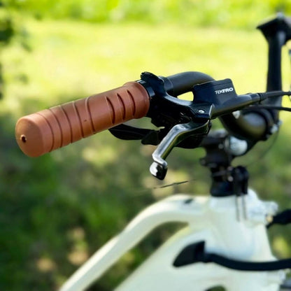 Emu Longtail Step-Through Cargo Electric Bike 250W