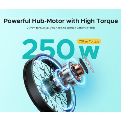 ENGWE E26 ST STEP-THROUGH ALL TERRAIN FAT TYRE ELECTRIC BIKE 250W - Charge & Glide