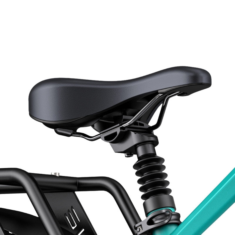 ENGWE E26 ST STEP-THROUGH ALL TERRAIN FAT TYRE ELECTRIC BIKE 250W - Charge & Glide