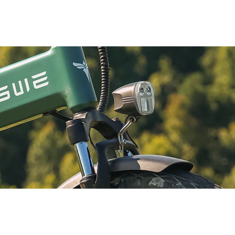 ENGWE EP-2 3.0 Boost Folding Fat-Tyre Electric Bike 250W Charge & Glide