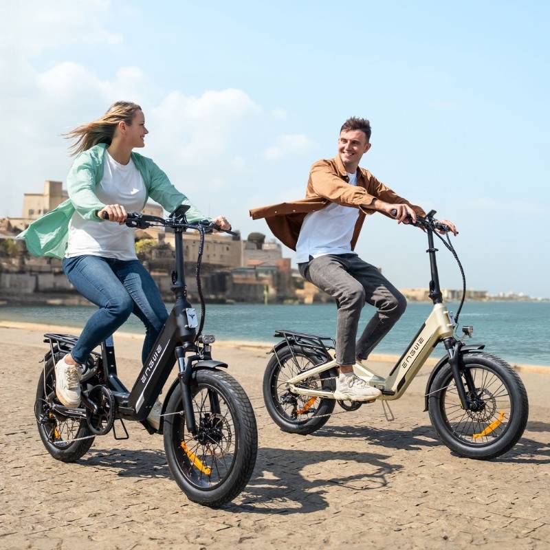 ENGWE L20 3.0 BOOST STEP-THROUGH FOLDING FAT-TYRE ELECTRIC BIKE - 250W